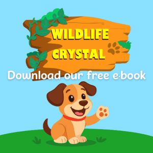 483302a9-ac76-4d22-b33e-a321f0161180